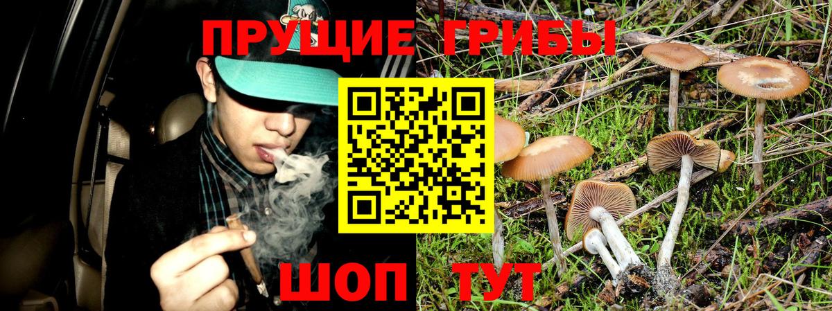 Воскресенск  Галлюциногенные грибы Psilocybine cubensis  Галлюциногенные грибы Cubensis  Вход с VPN 